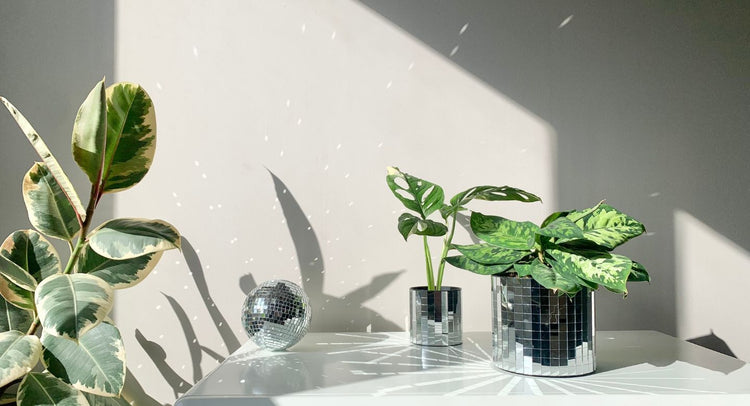 Cache-pots et accessoires - belembouture