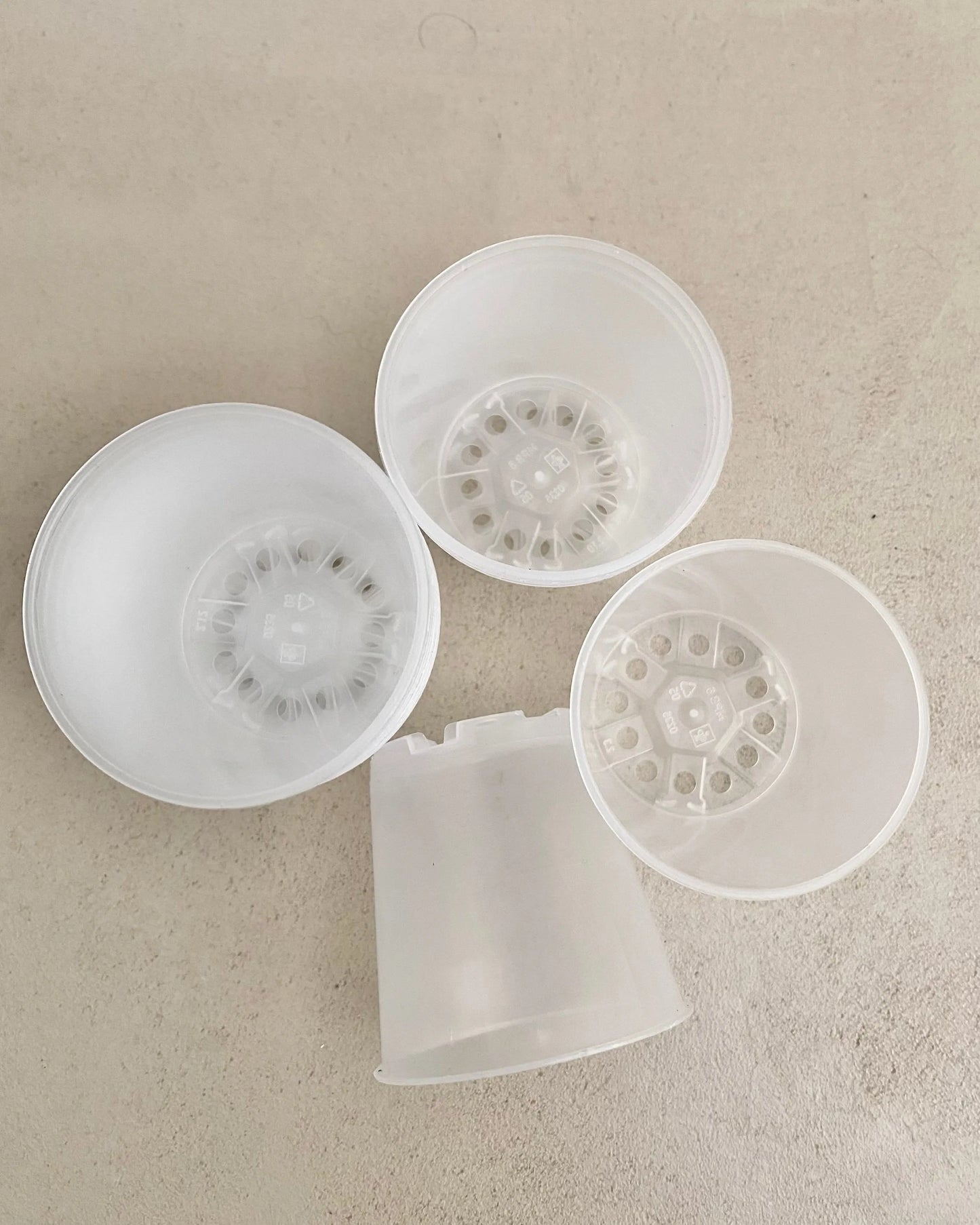 Pot de culture transparent BelemBouture