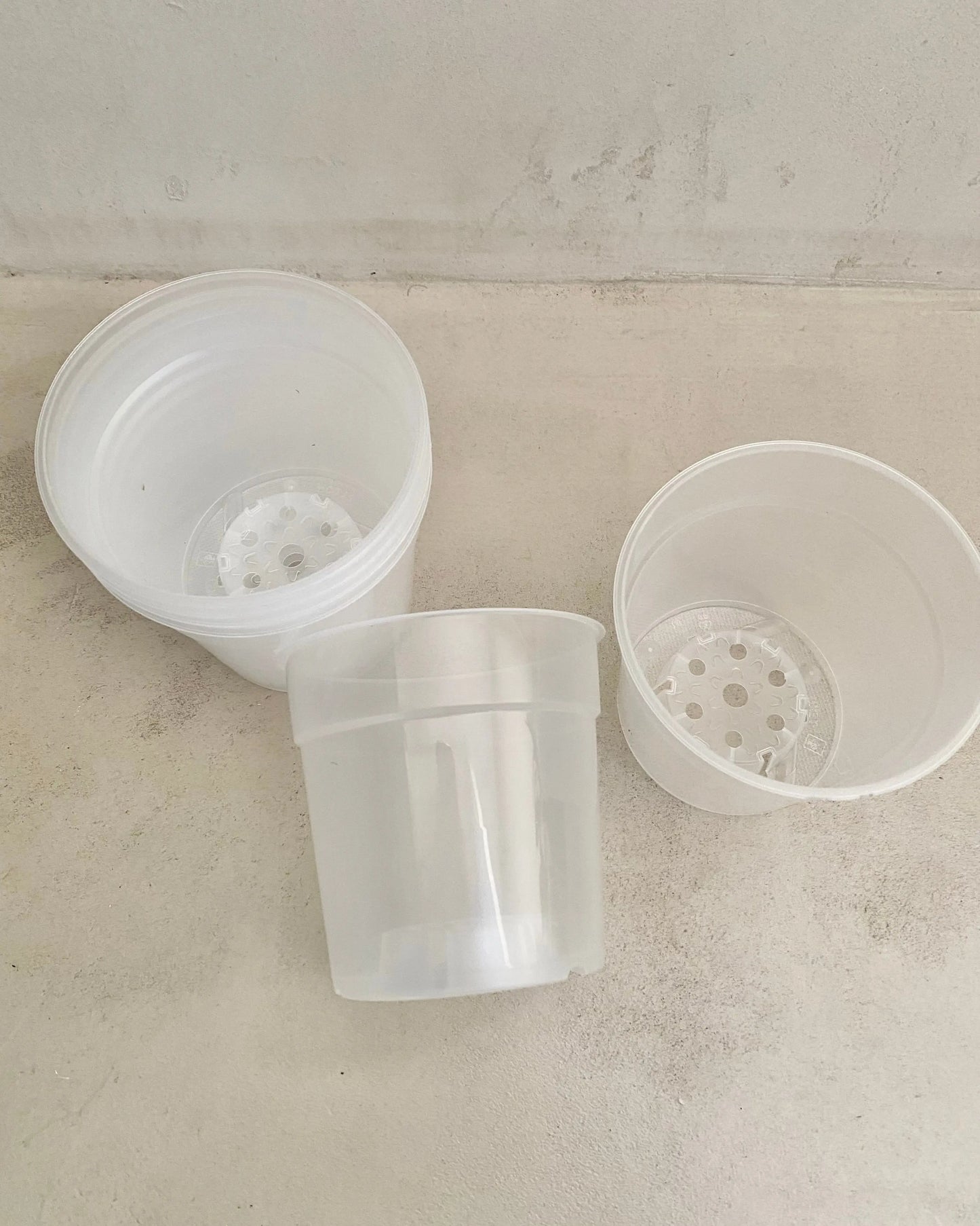 Pot de culture transparent BelemBouture