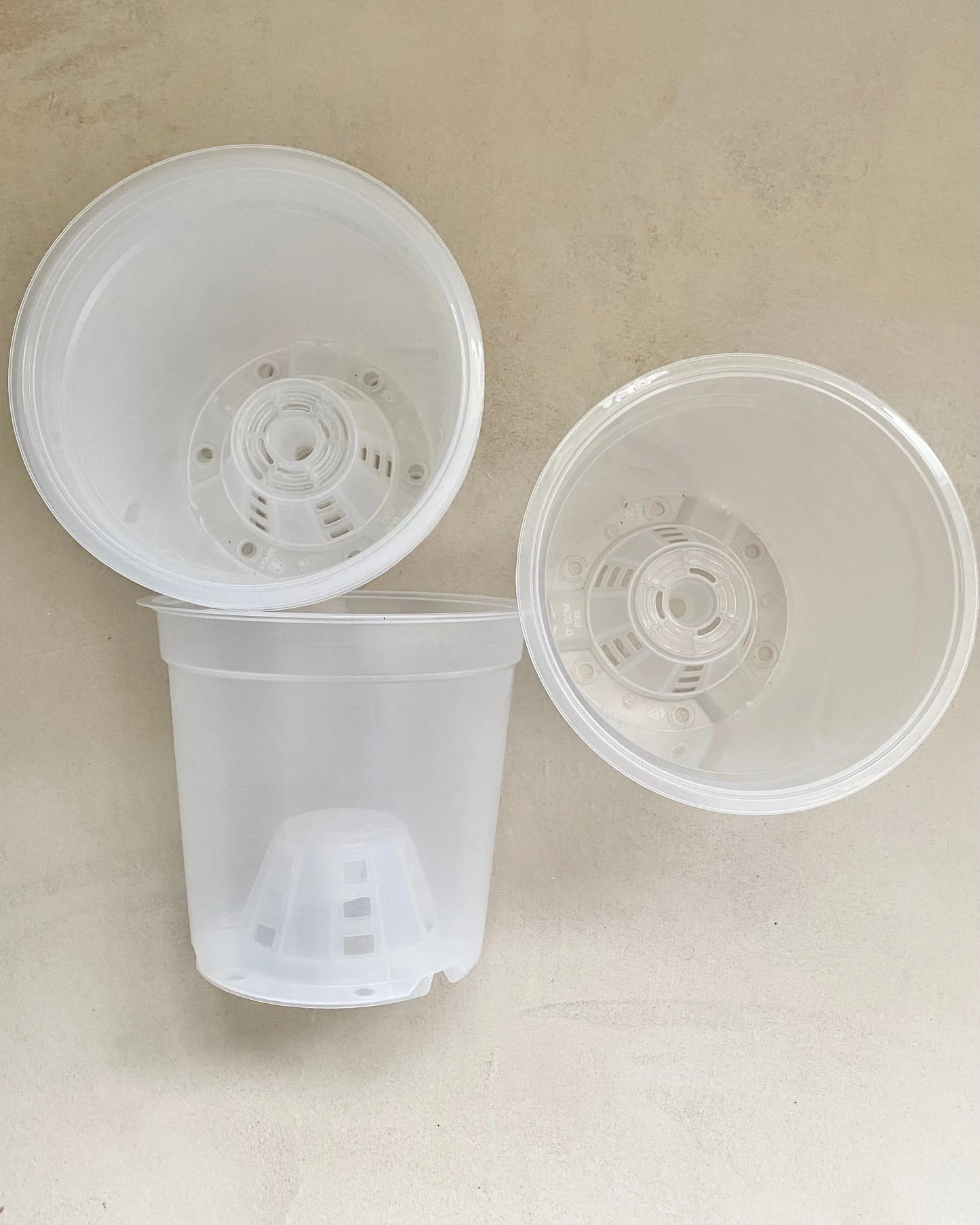 Pot de culture transparent BelemBouture