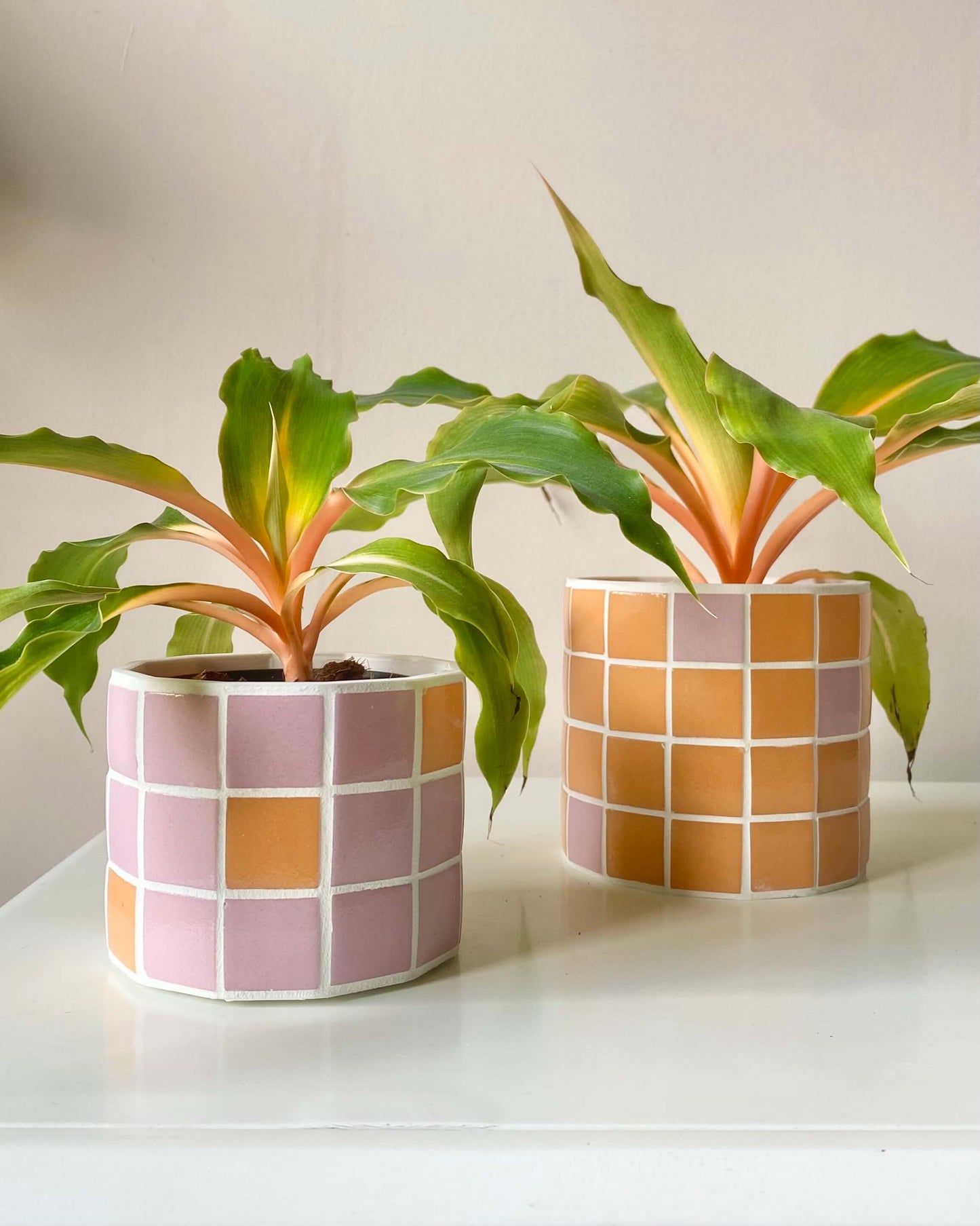 Duo Jungle Pop – Rose & Mandarine BelemBouture
