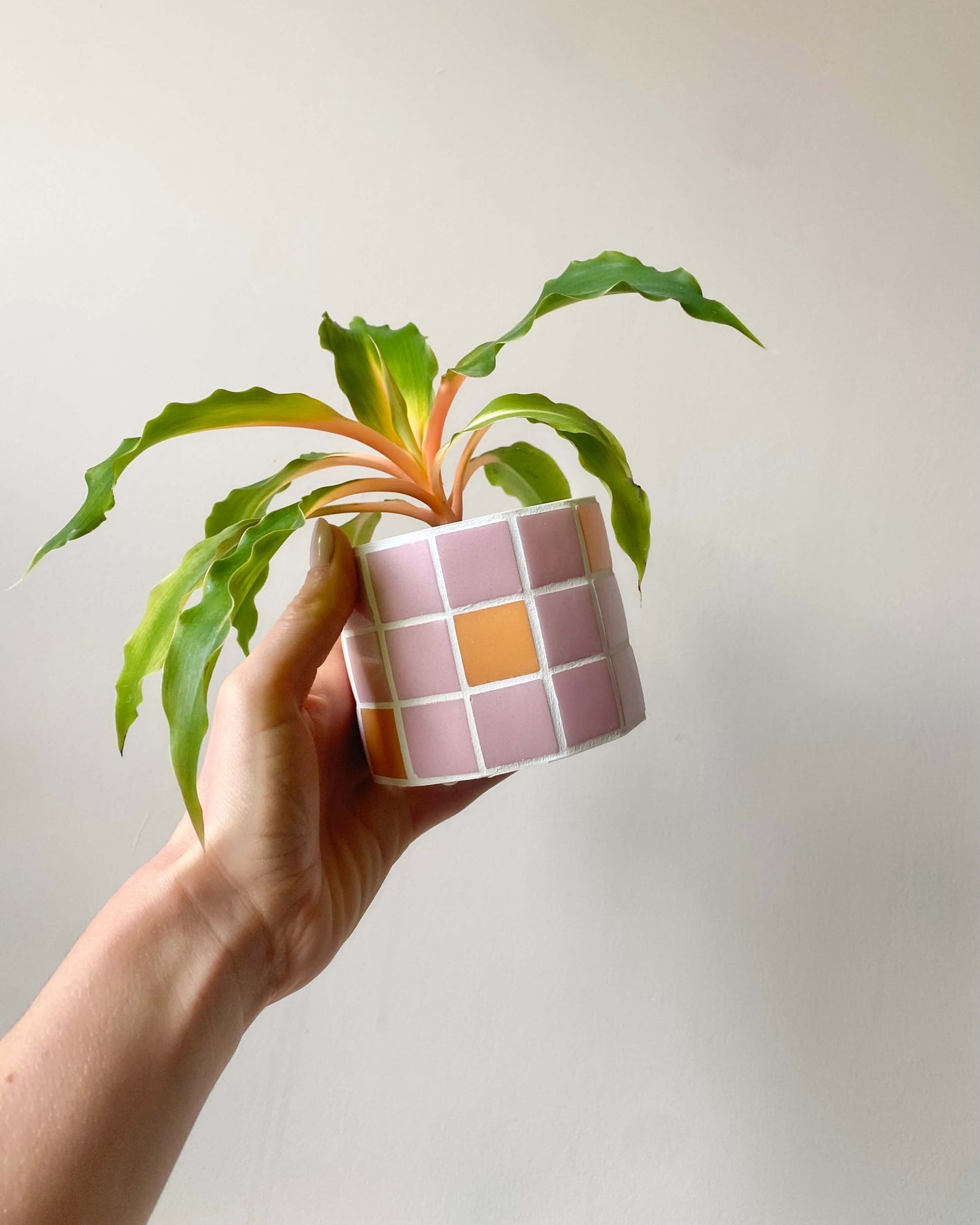 Duo Jungle Pop – Rose & Mandarine BelemBouture