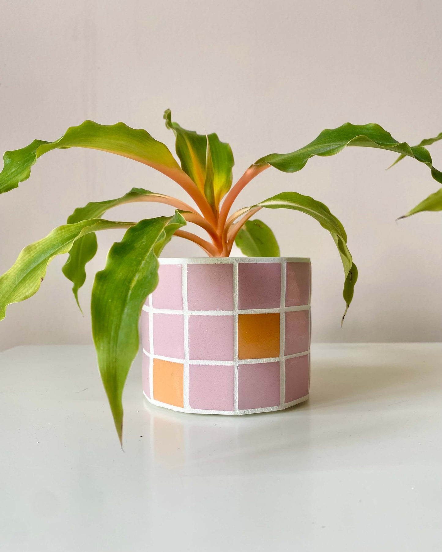 Duo Jungle Pop – Rose & Mandarine BelemBouture