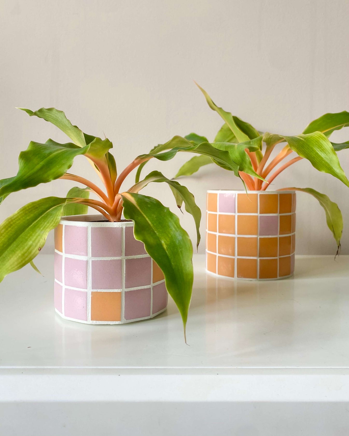 Duo Jungle Pop – Rose & Mandarine BelemBouture