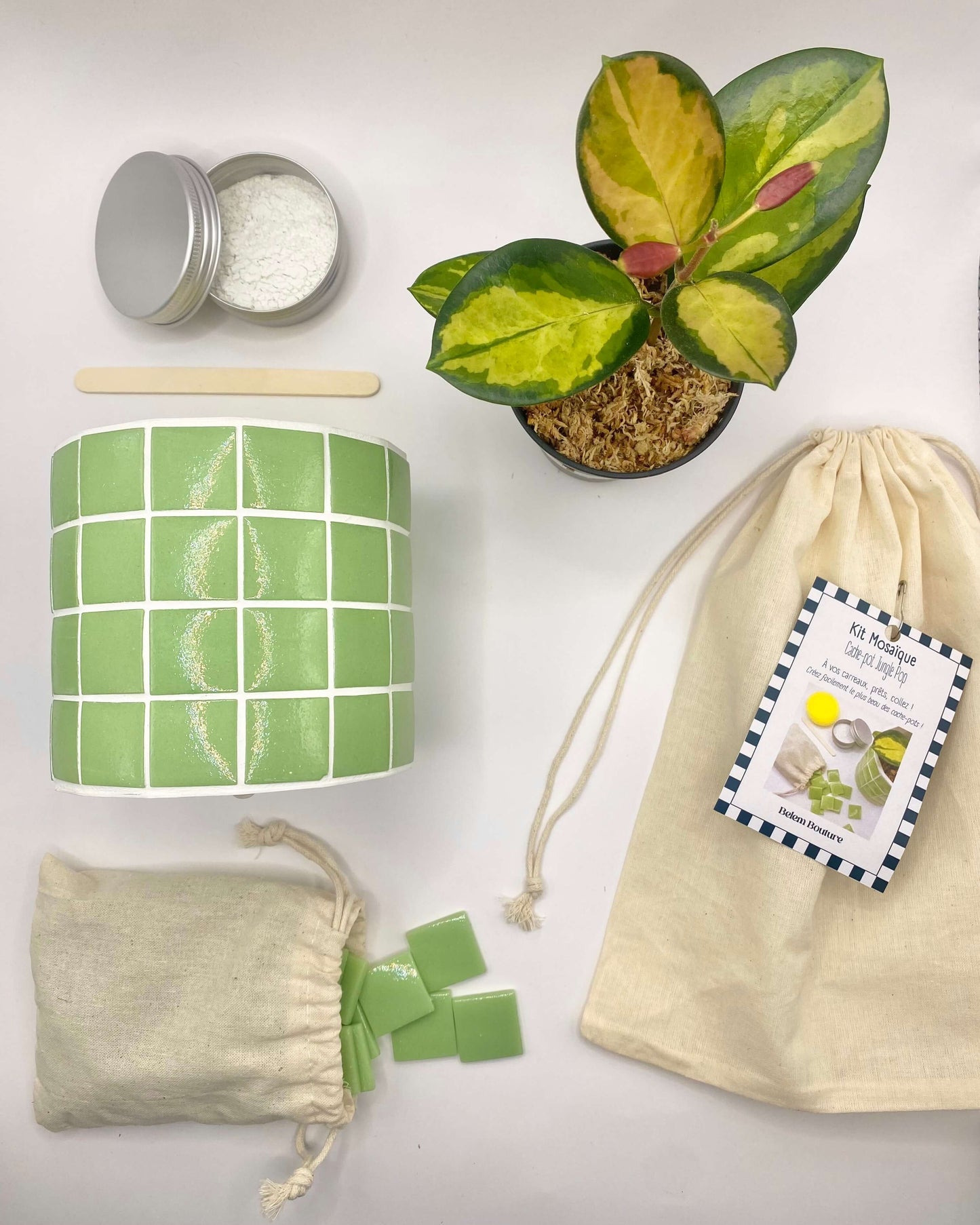 Kit Mosaïque Cache-pot "Jungle Pop"