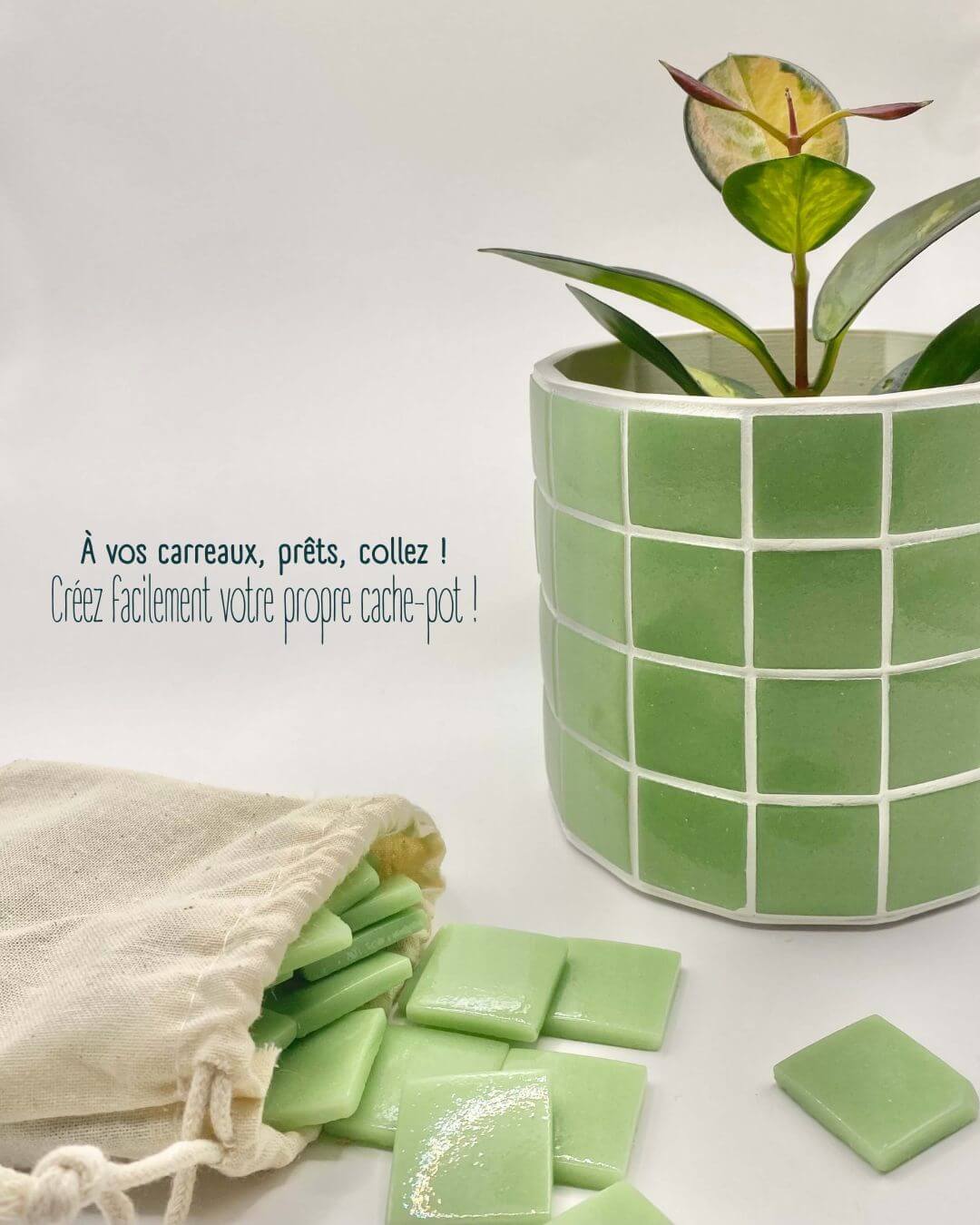 Kit Mosaïque Cache-pot "Jungle Pop"