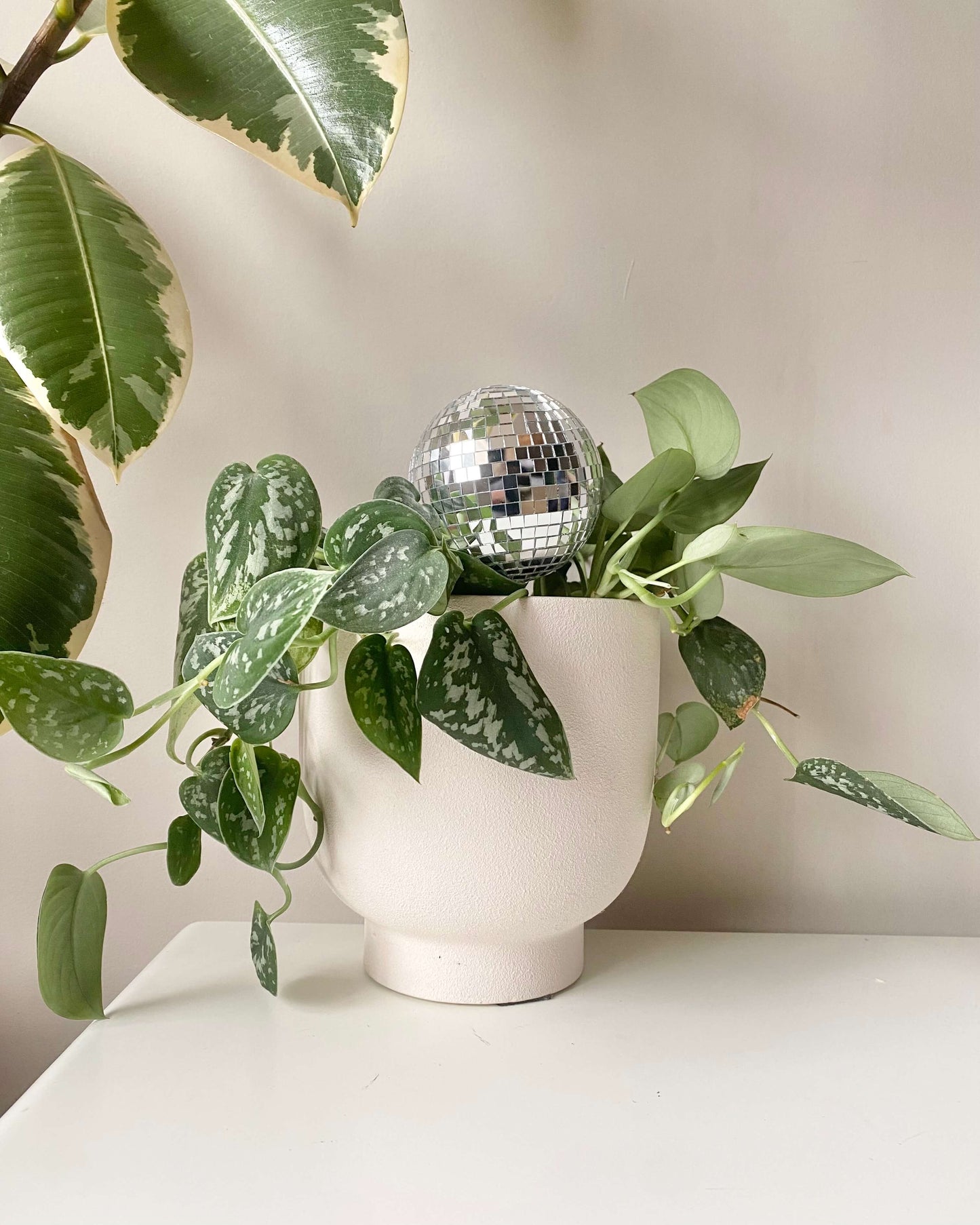 Pic à plante disco boule à facettes BelemBouture