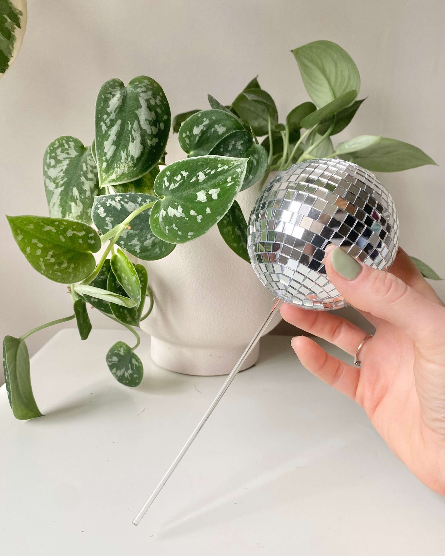 Pic à plante disco boule à facettes BelemBouture