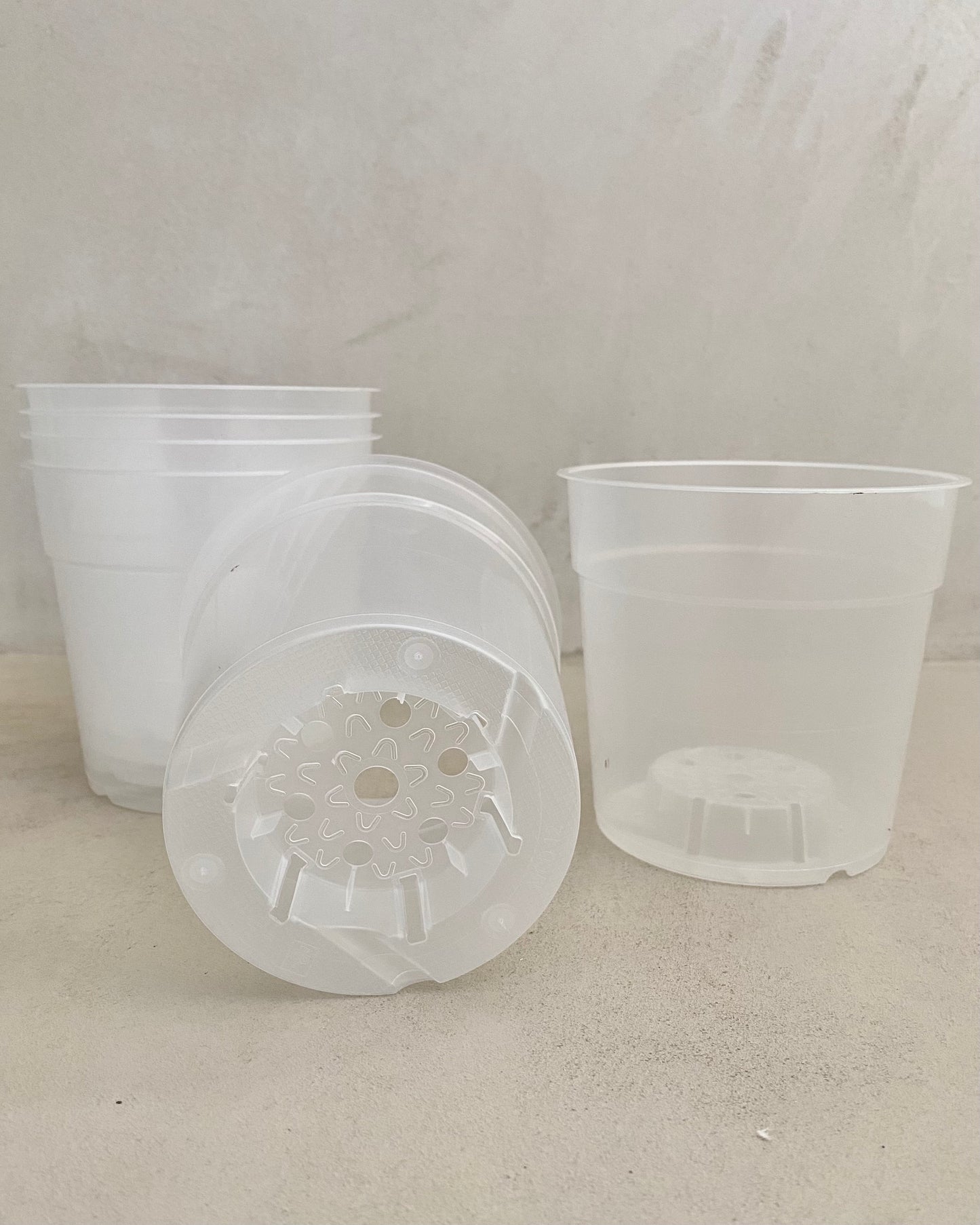 Pot de culture transparent BelemBouture