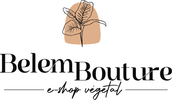 BelemBouture