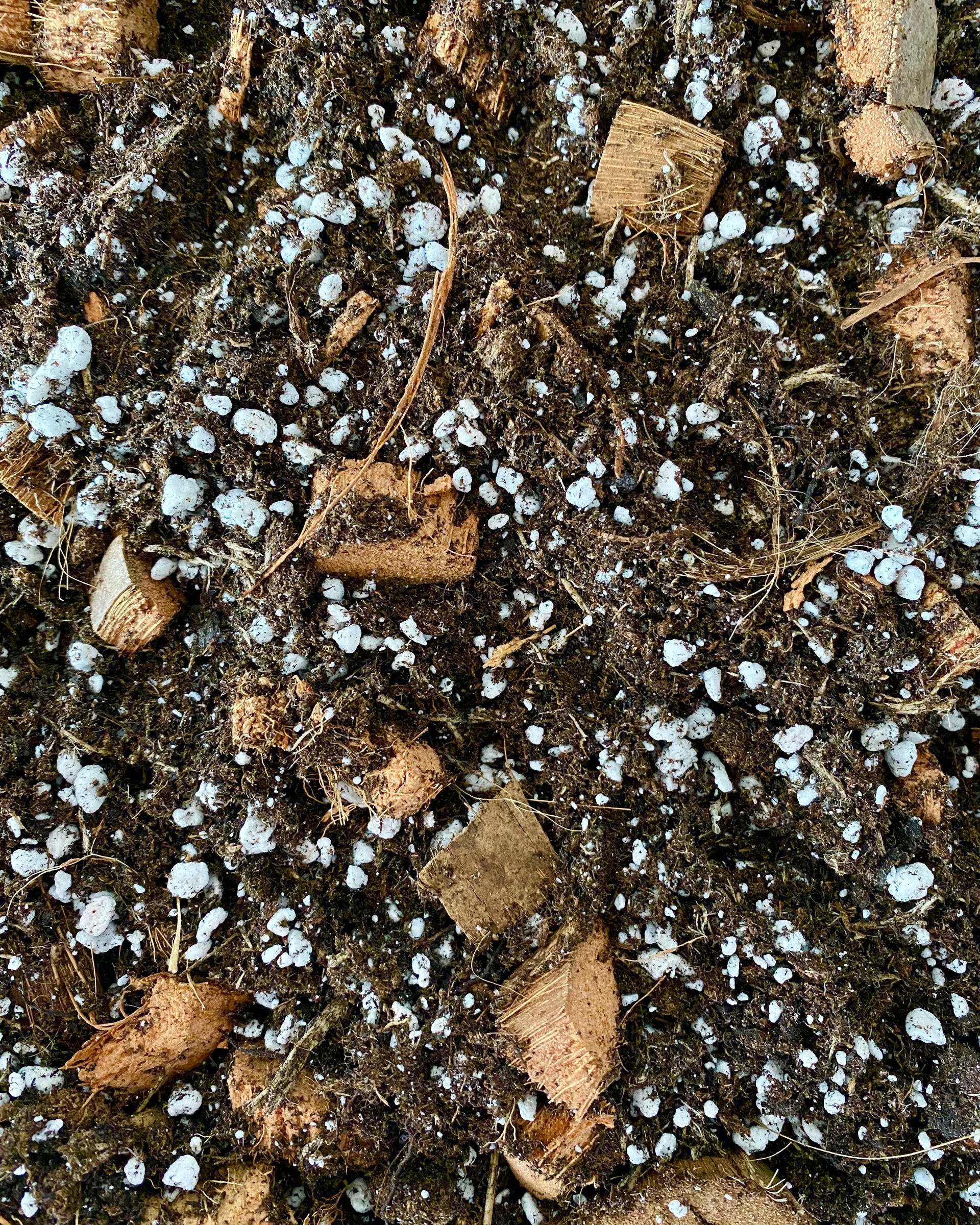 Substrat Monstera - Terreau, coco et perlite