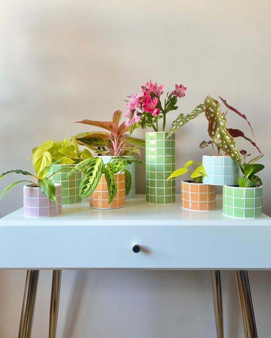 Cache-pot mosaïque "Jungle Pop" fabriqué en Alsace