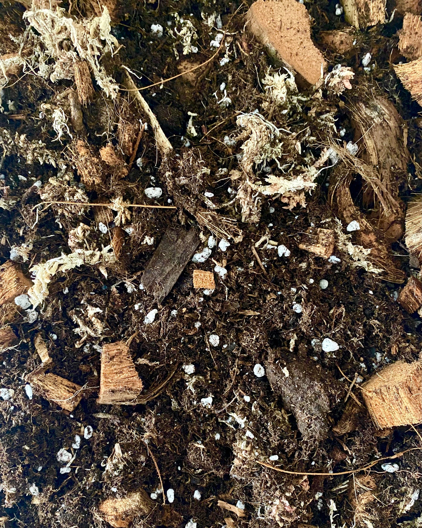 Substrat Anthurium
